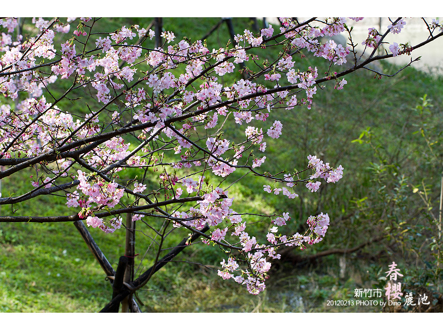 http://i.dcview.tw/gallery/201202/7d0ed5ead25a05cc7988442eea0b2697.jpg