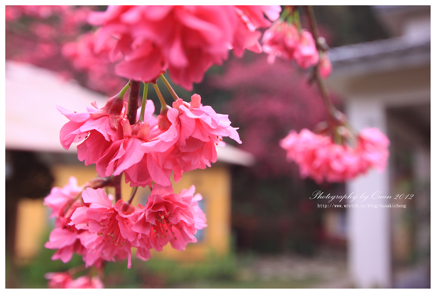 http://i.dcview.tw/gallery/201202/7d825694dcea453e80aade66df64be30.jpg