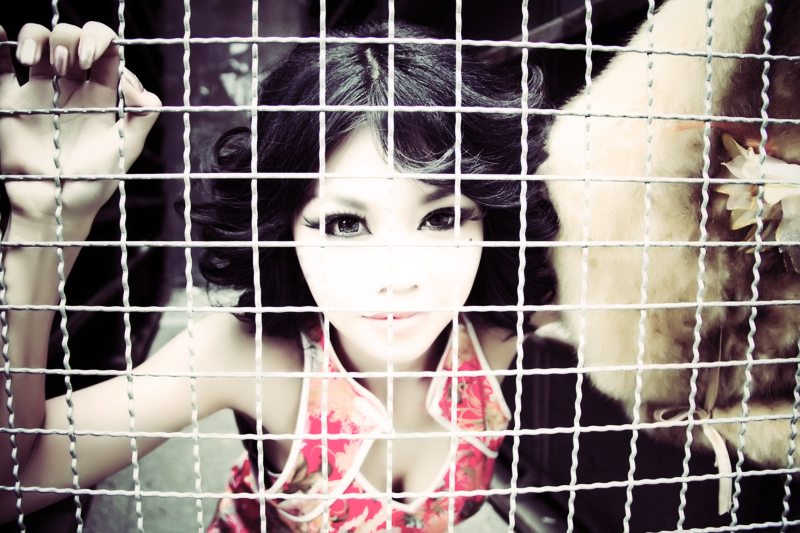 http://i.dcview.tw/gallery/201202/7fd2951ce9fba0a8b0221bbfff6f9a54.jpg