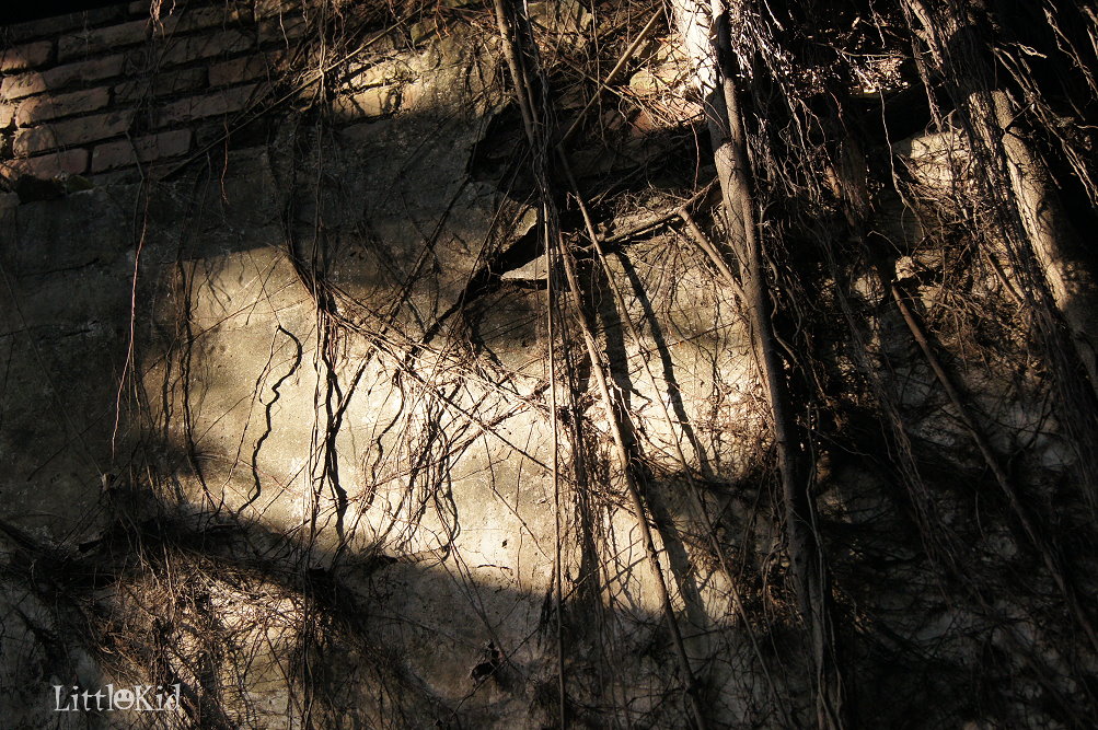 http://i.dcview.tw/gallery/201202/807c16c8c6c24f0fe4e357446bbf96d7.jpg
