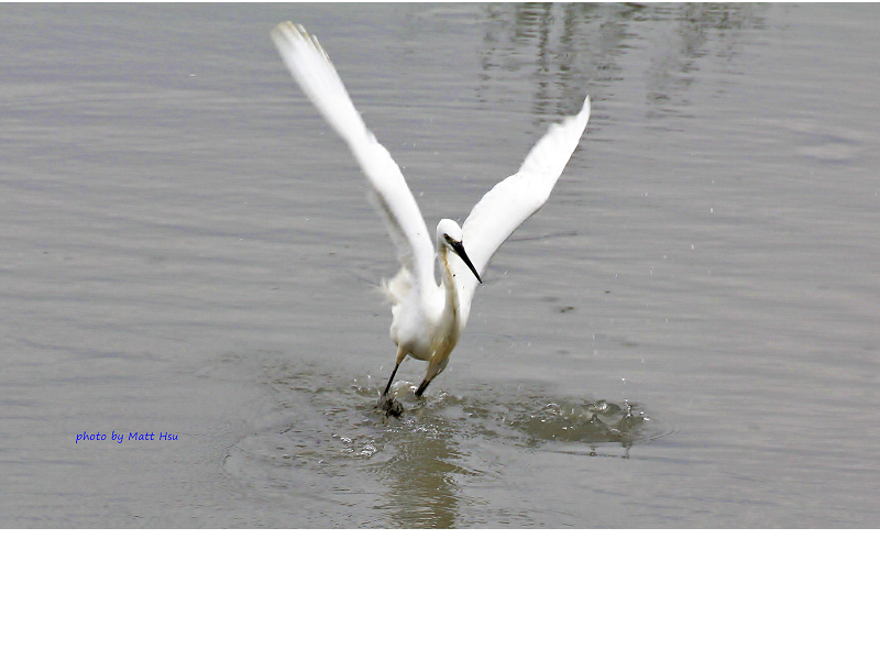 http://i.dcview.tw/gallery/201202/826e46fb1bd493808138f634d5be06c5.jpg