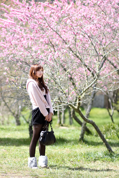 http://i.dcview.tw/gallery/201202/848a2b39ca71b5eb95caf5c1f3074da3.jpg