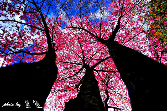 http://i.dcview.tw/gallery/201202/863554d0c2034c989553c9f02ecc351a.jpg