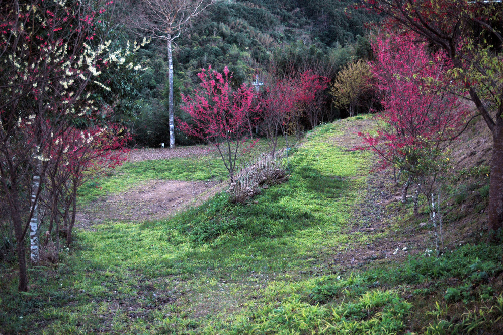 http://i.dcview.tw/gallery/201202/877abe36b127e8691396eeee772c81d9.jpg