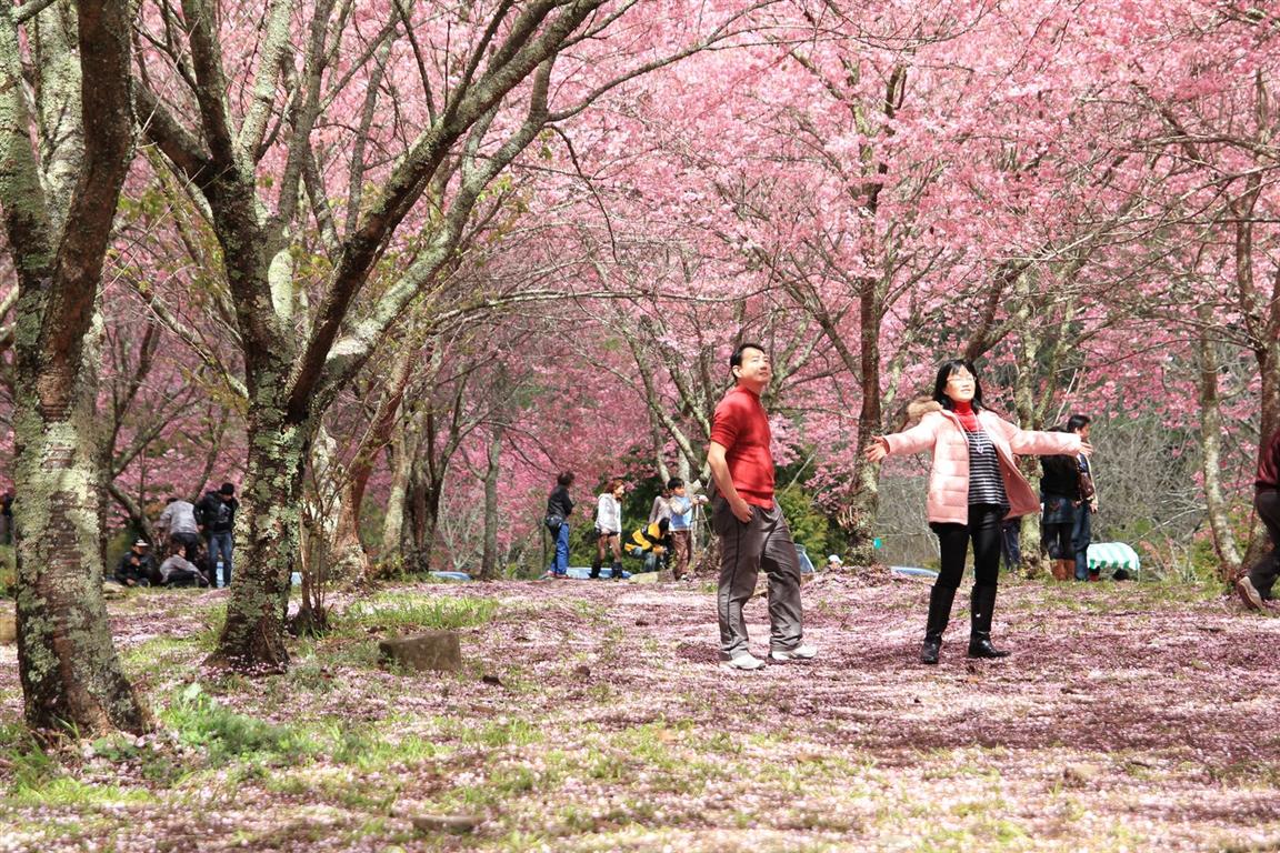 http://i.dcview.tw/gallery/201202/887413e764688e09d08d0639306b6930.jpg