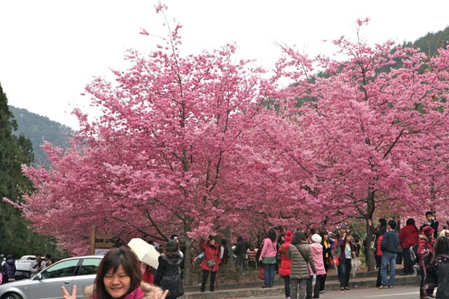 http://i.dcview.tw/gallery/201202/887f92c41d33c18c4cf997459a70a923.jpg
