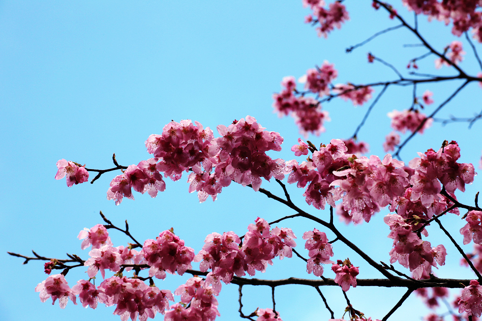 http://i.dcview.tw/gallery/201202/88d112f10ddd842d00ca7ea0d1379f94.jpg