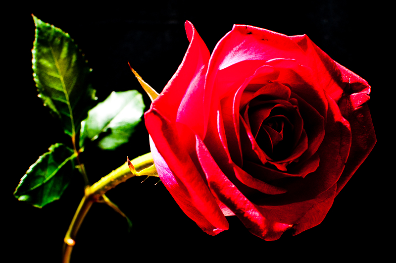http://i.dcview.tw/gallery/201202/88d168add09097b96ed1eb53756922d5.jpg