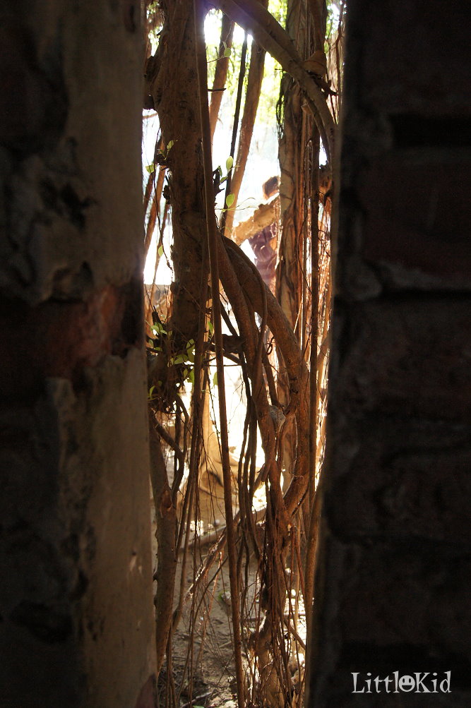 http://i.dcview.tw/gallery/201202/8a7212a1a2cd2b05b6d80cceac216908.jpg