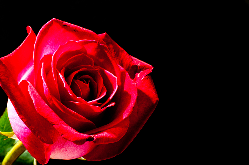 http://i.dcview.tw/gallery/201202/8aab883146ffd0e078bacc7691bfda41.jpg