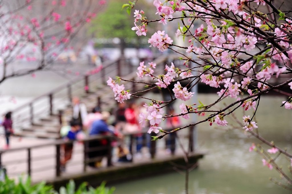 http://i.dcview.tw/gallery/201202/8bdf285e4d35cf0874ac813378ec8d48.jpg