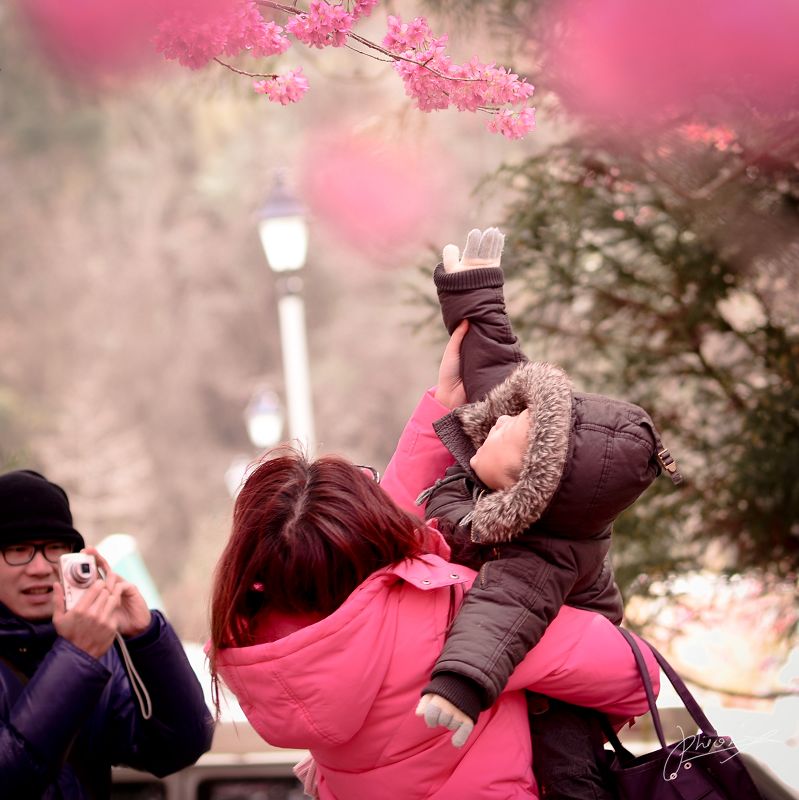 http://i.dcview.tw/gallery/201202/8d91759794dbdff989f16a300d9f9784.jpg