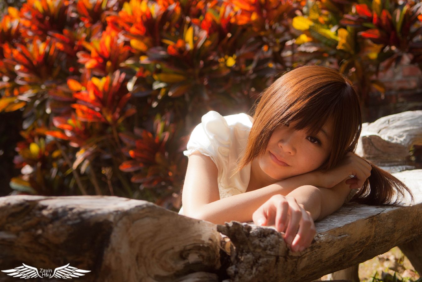 http://i.dcview.tw/gallery/201202/8f8b229410c470f20d48b24f073c31bb.jpg