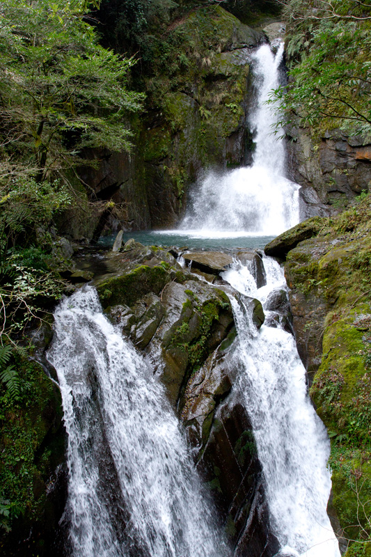 http://i.dcview.tw/gallery/201202/92aaa82d80eddfd5f8957ed0195f80ff.jpg