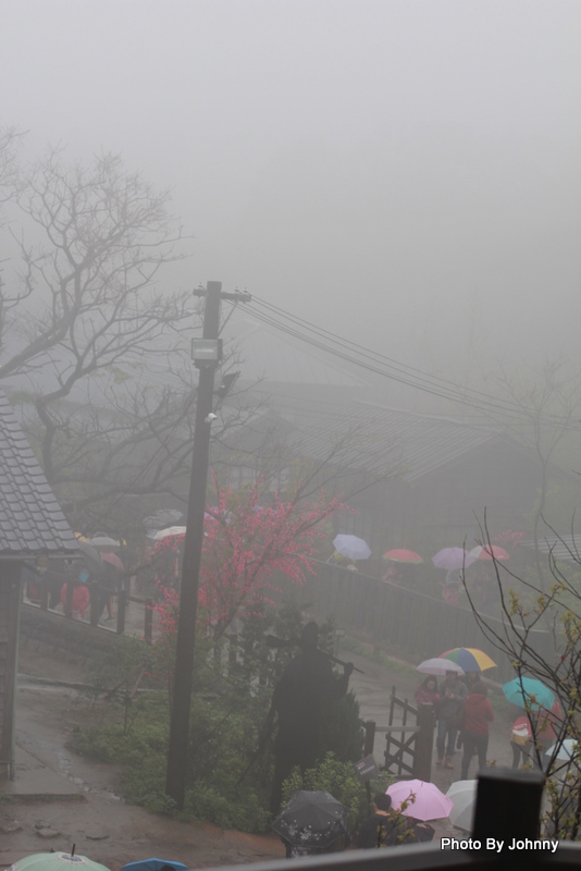 http://i.dcview.tw/gallery/201202/94d2dfd372736f9c061a21cb46aee4cb.jpg