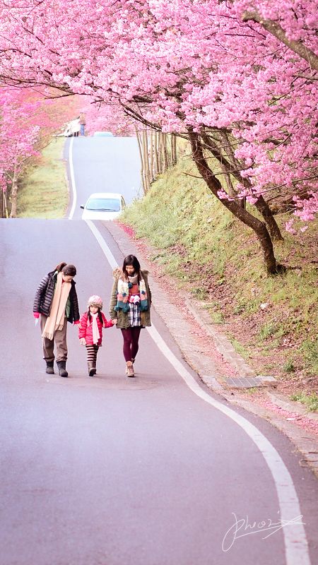 http://i.dcview.tw/gallery/201202/951a410ae30b2f0e901548f01c11b278.jpg