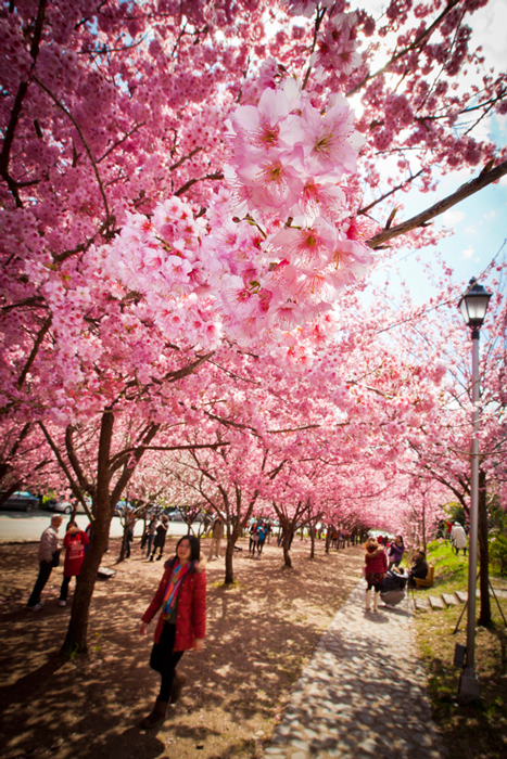 http://i.dcview.tw/gallery/201202/95a11cec9429ebb07107a4cf49e631da.jpg