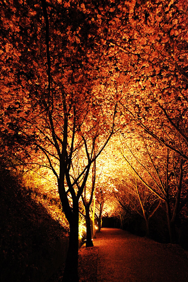 http://i.dcview.tw/gallery/201202/967ae5c7eecf29d9b6fb391254fb6d50.jpg