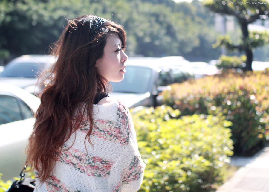 http://i.dcview.tw/gallery/201202/98409032f3e728c6967c687f84618ea4.jpg