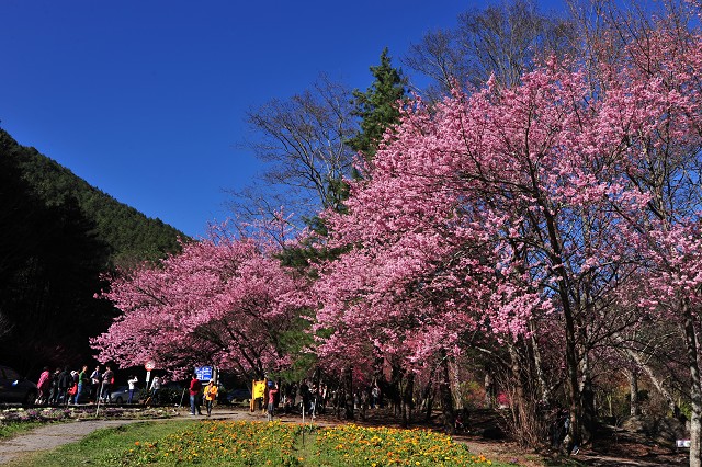 http://i.dcview.tw/gallery/201202/998600075426b3f2e77a6bd8f8c30521.jpg