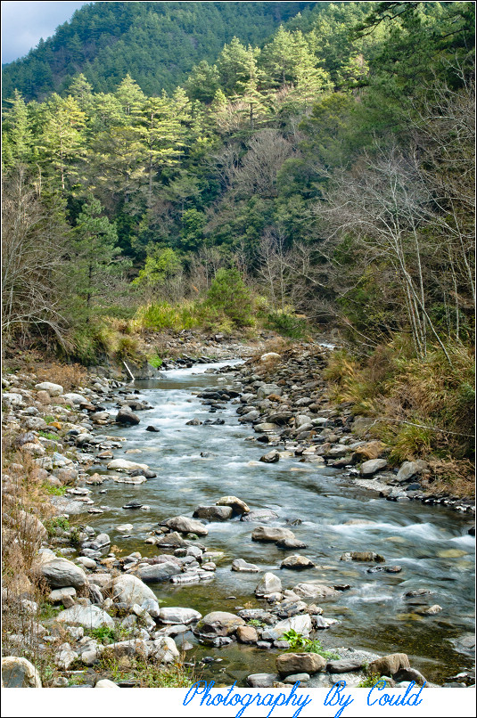http://i.dcview.tw/gallery/201202/9c658cb95eb50354a6b9a30bf3676255.jpg