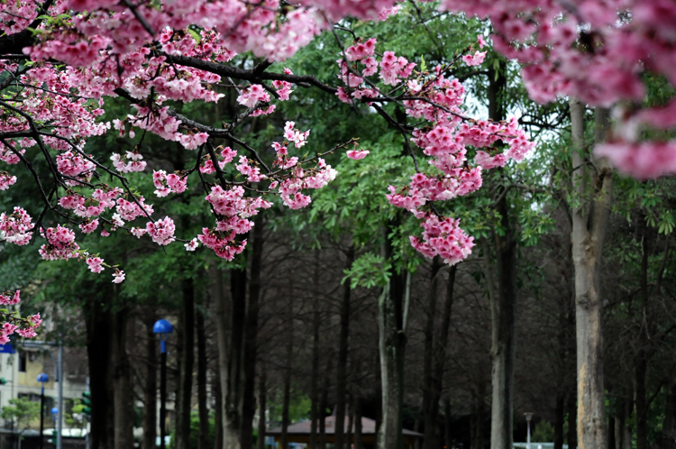 http://i.dcview.tw/gallery/201202/9ef855627d6a206706290ac2ec4bf690.jpg