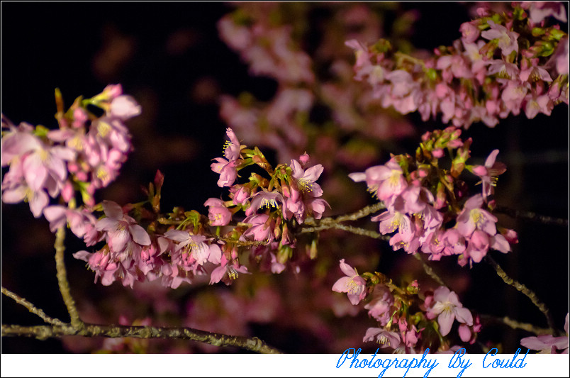 http://i.dcview.tw/gallery/201202/9f165a2ae94b741d7ec80699c23717e4.jpg
