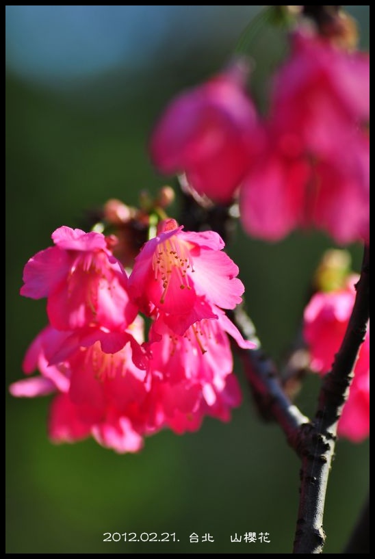 http://i.dcview.tw/gallery/201202/9ffd139655a81701ea7006c9aee73f04.jpg