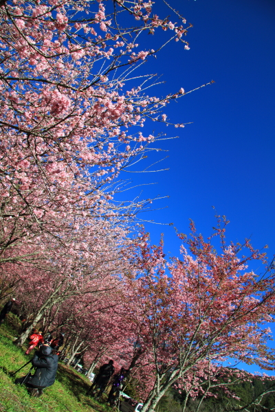 http://i.dcview.tw/gallery/201202/a054f86e8dd59696656a0c60ff4a8f2c.jpg