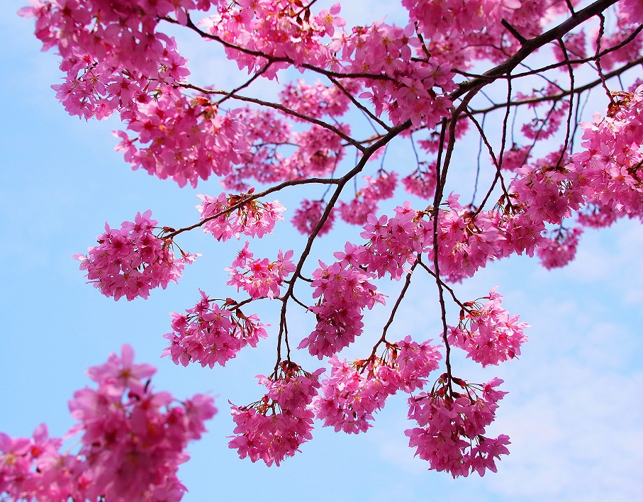 http://i.dcview.tw/gallery/201202/a12638a394973d8ed9928d8cf899579e.jpg