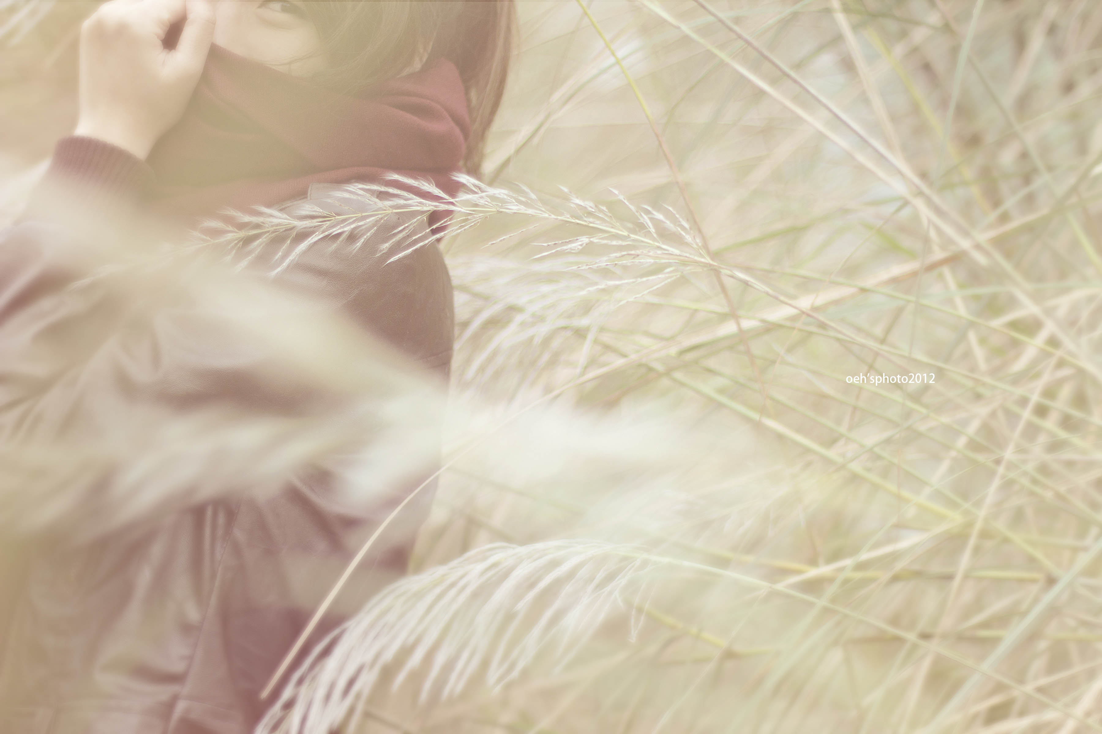 http://i.dcview.tw/gallery/201202/a1ce13339d25ccb31105961be66c23f2.jpg