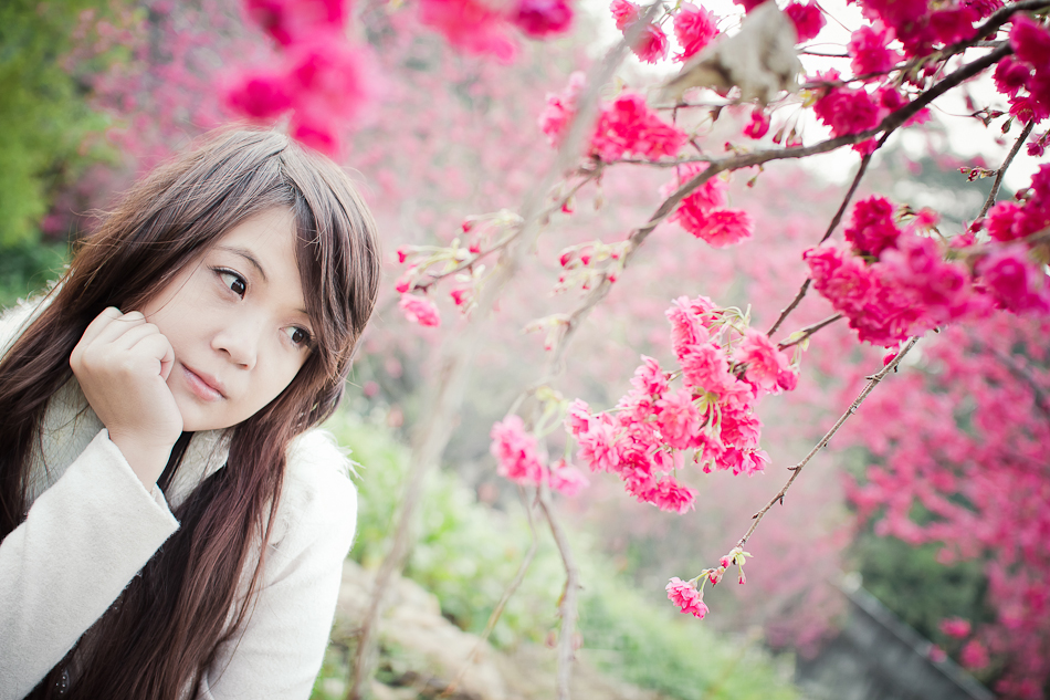 http://i.dcview.tw/gallery/201202/a25bcd409585bd30ca208ef4ff0b3ecb.jpg