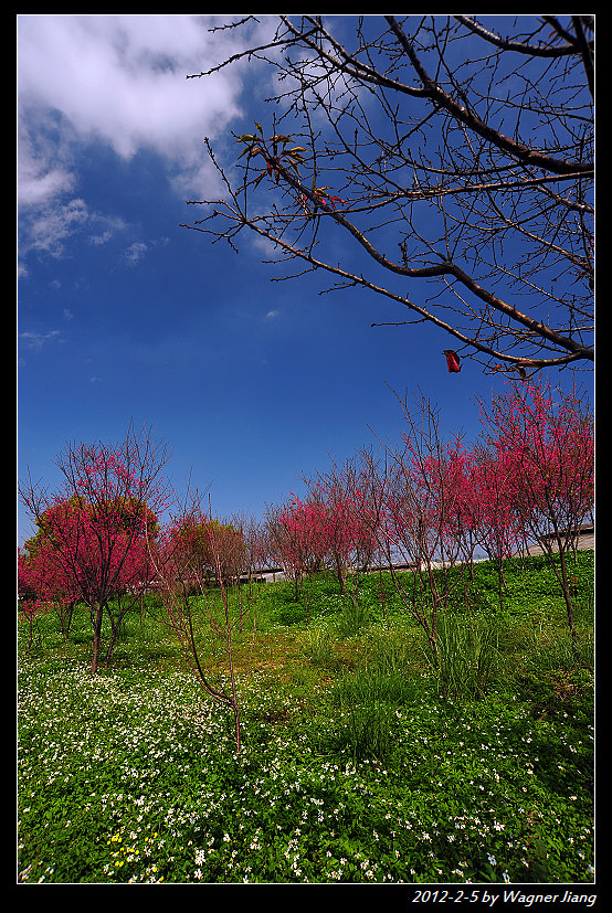 http://i.dcview.tw/gallery/201202/a637d74e75f3778259a0da32a053e5f7.jpg