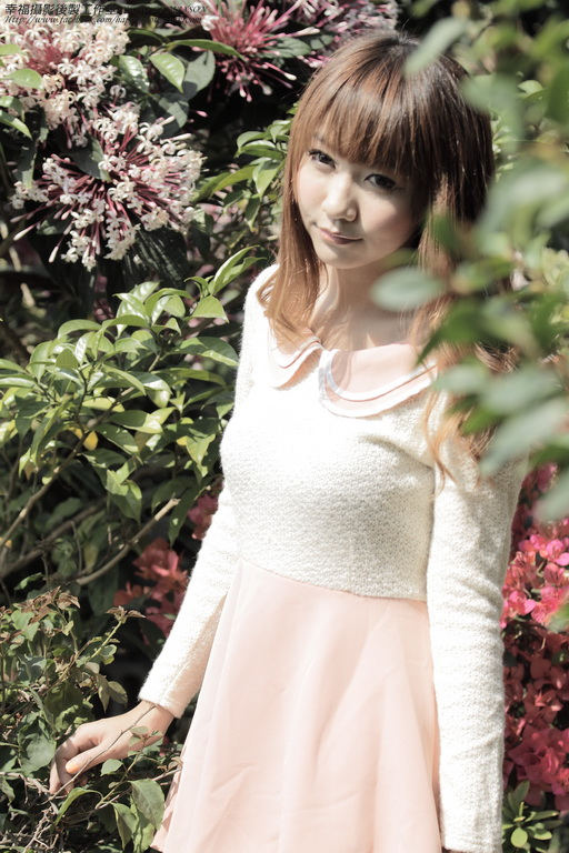 http://i.dcview.tw/gallery/201202/a7658c85537ba1f9a073a905831b3452.jpg