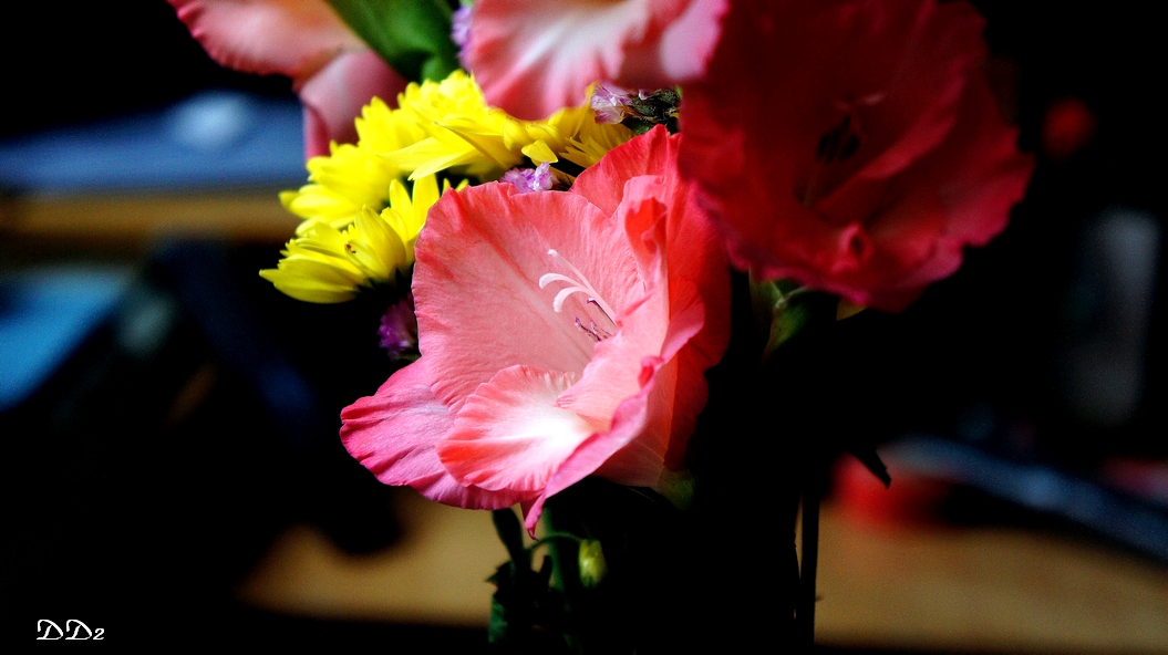 http://i.dcview.tw/gallery/201202/ad428e62d319ca14e6b9cd0e00c0ccc7.jpg