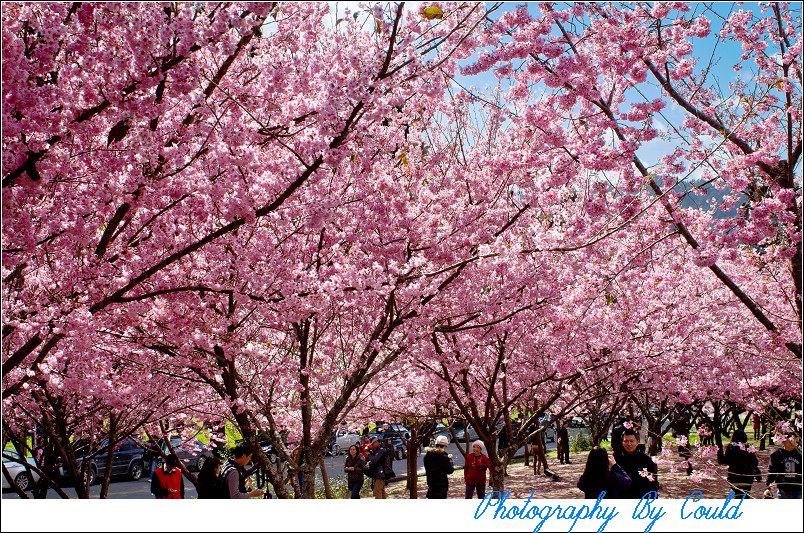 http://i.dcview.tw/gallery/201202/b10cc2ccfbb0e2bc9f11306009b31a25.jpg