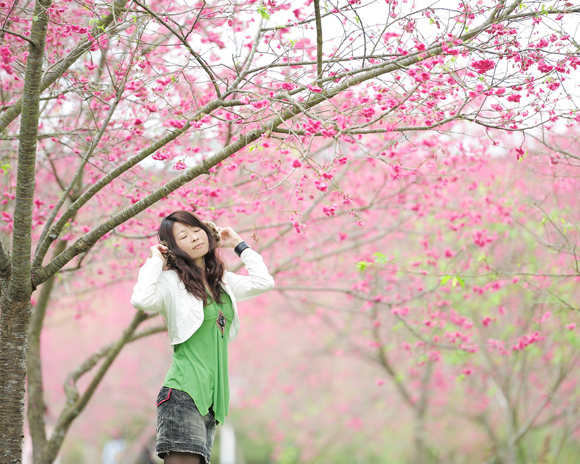 http://i.dcview.tw/gallery/201202/b2744405bc90629c30504ff5d496a023.jpg