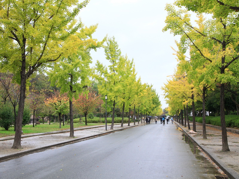 http://i.dcview.tw/gallery/201202/b2d491fd170b362f1d03b19277a0657a.jpg