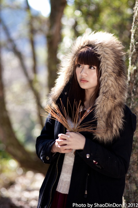 http://i.dcview.tw/gallery/201202/b55e0704c48032b826ad1b8eb1b664b2.jpg