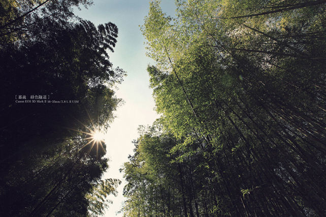 http://i.dcview.tw/gallery/201202/b65c86ffeadc01681d19b5d72836afb1.jpg