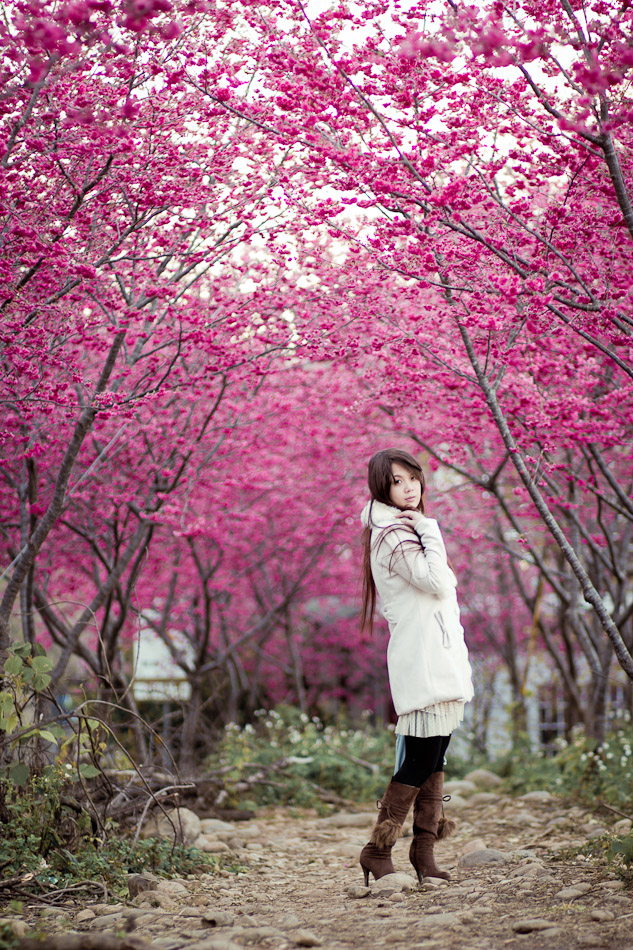 http://i.dcview.tw/gallery/201202/b693157bceba35a2acb8fcff7baa6b12.jpg