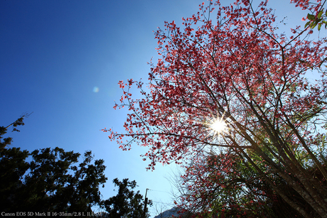 http://i.dcview.tw/gallery/201202/b7333e2d8185b6ac6d1dfbb33d4a36b6.jpg