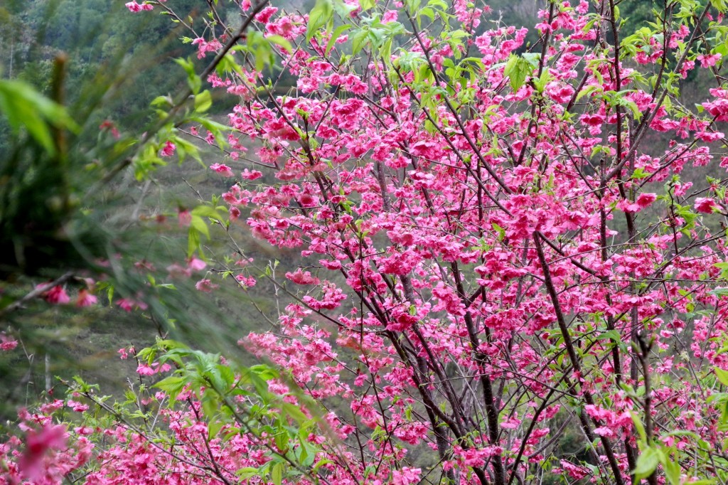 http://i.dcview.tw/gallery/201202/b858be895767f576bfef687e4249ee54.jpg