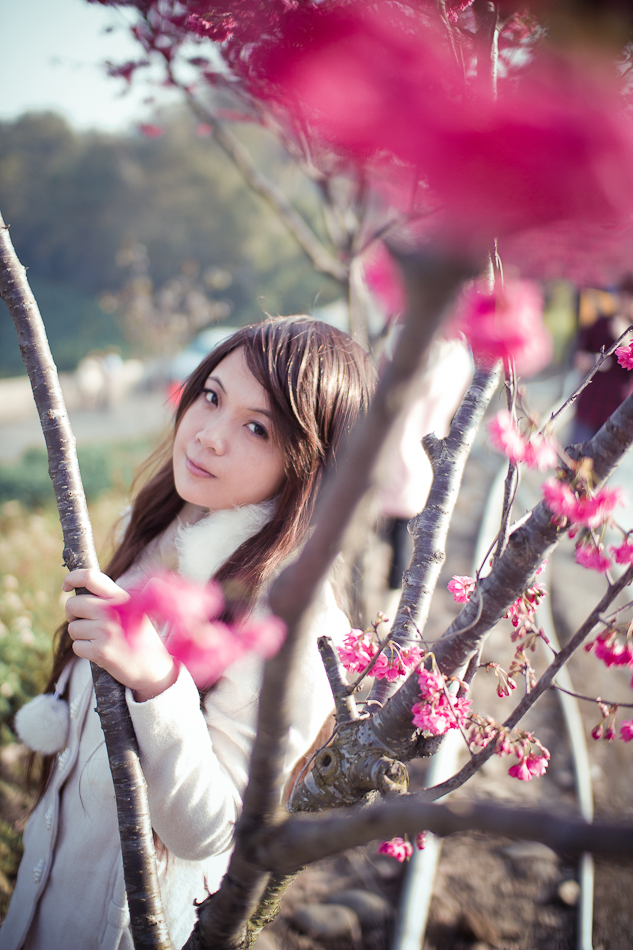 http://i.dcview.tw/gallery/201202/b8ad94cda62d48ec8b156cf4e3f74efa.jpg
