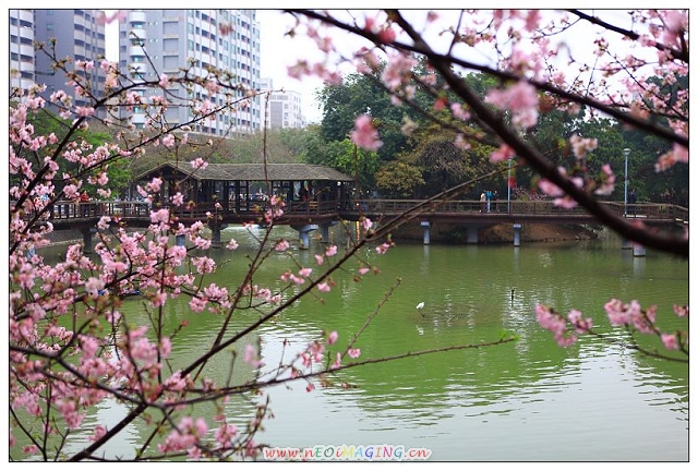 http://i.dcview.tw/gallery/201202/beabbe8fb541b227d7563897756c63f8.jpg
