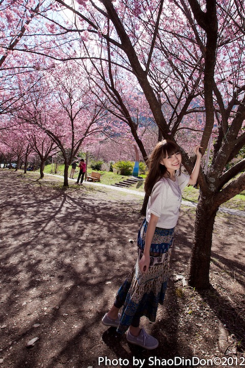 http://i.dcview.tw/gallery/201202/bf2193d579fc5266b8527a582836f7bc.jpg