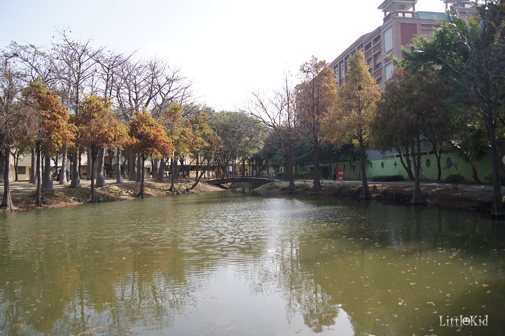 http://i.dcview.tw/gallery/201202/c0d5d4c21b741bcf82b8c83d0cf62da5.jpg