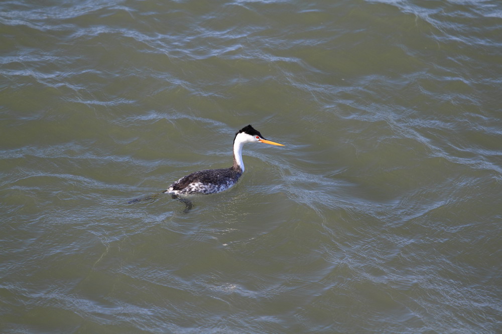 http://i.dcview.tw/gallery/201202/c1256f3db36859d336ee92d2f945111a.jpg