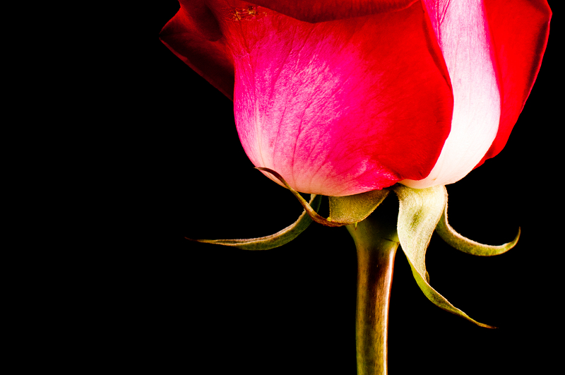 http://i.dcview.tw/gallery/201202/c360d675144800844b6ab4264166705a.jpg