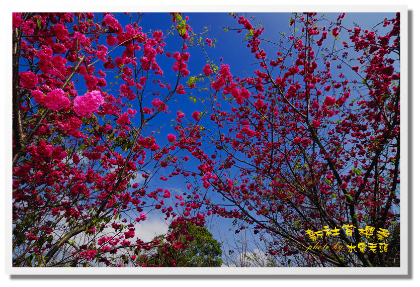 http://i.dcview.tw/gallery/201202/c37f697f1c853372f2c188cd1ac1f476.jpg